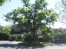 Binfield Heath 3